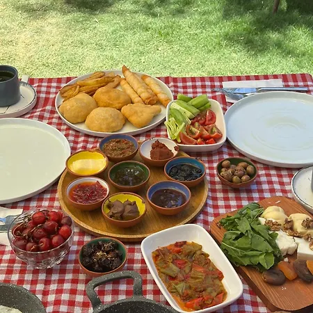 Bademlique Stone Apartment Kas